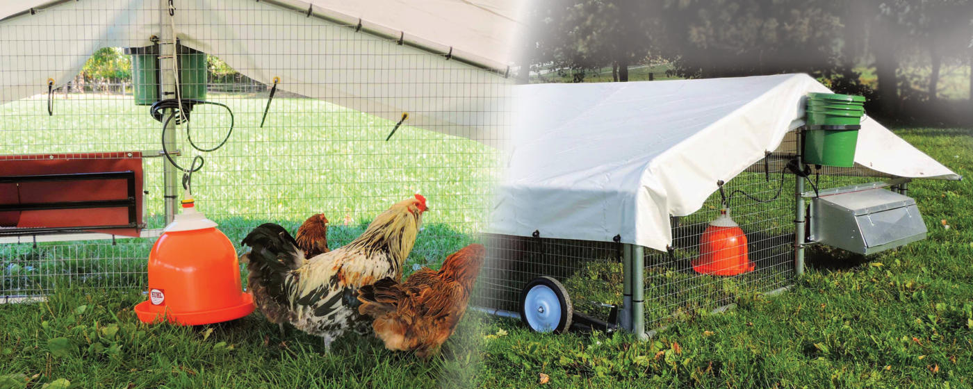 Mobile Chicken Coops Chicken Ranger